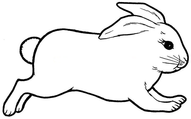 bunny outline Rabbit template animal templates free  jpg