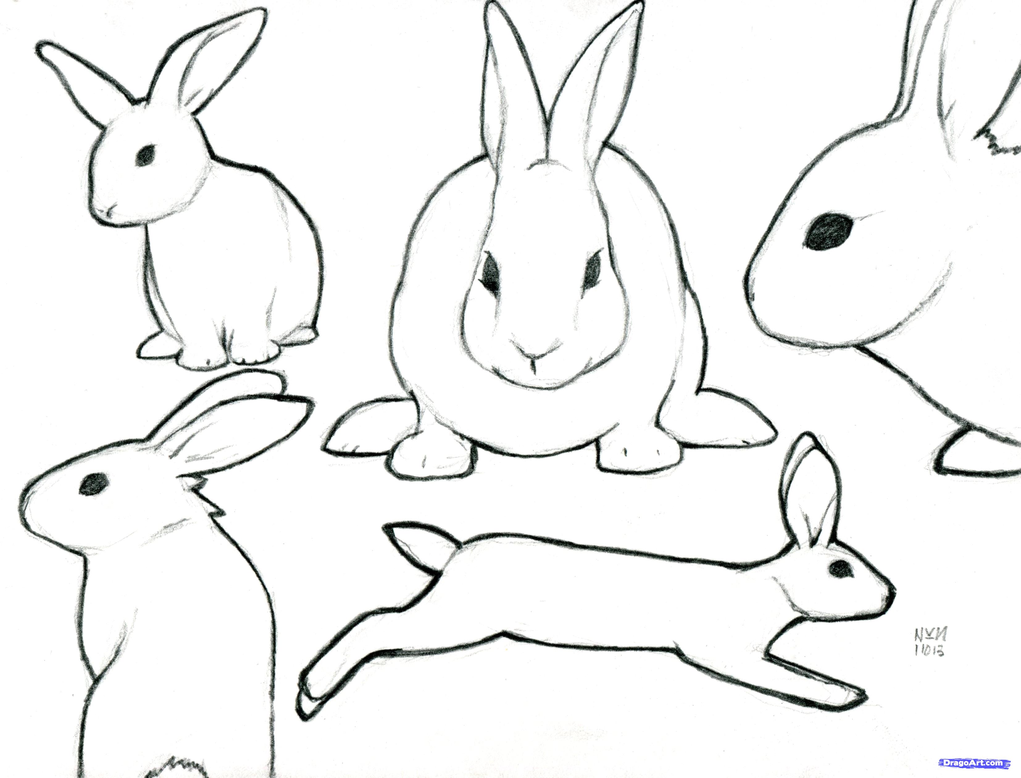 Bunny Outline Rabbit Cartoon Outline Free Download Clip Art Clipartix