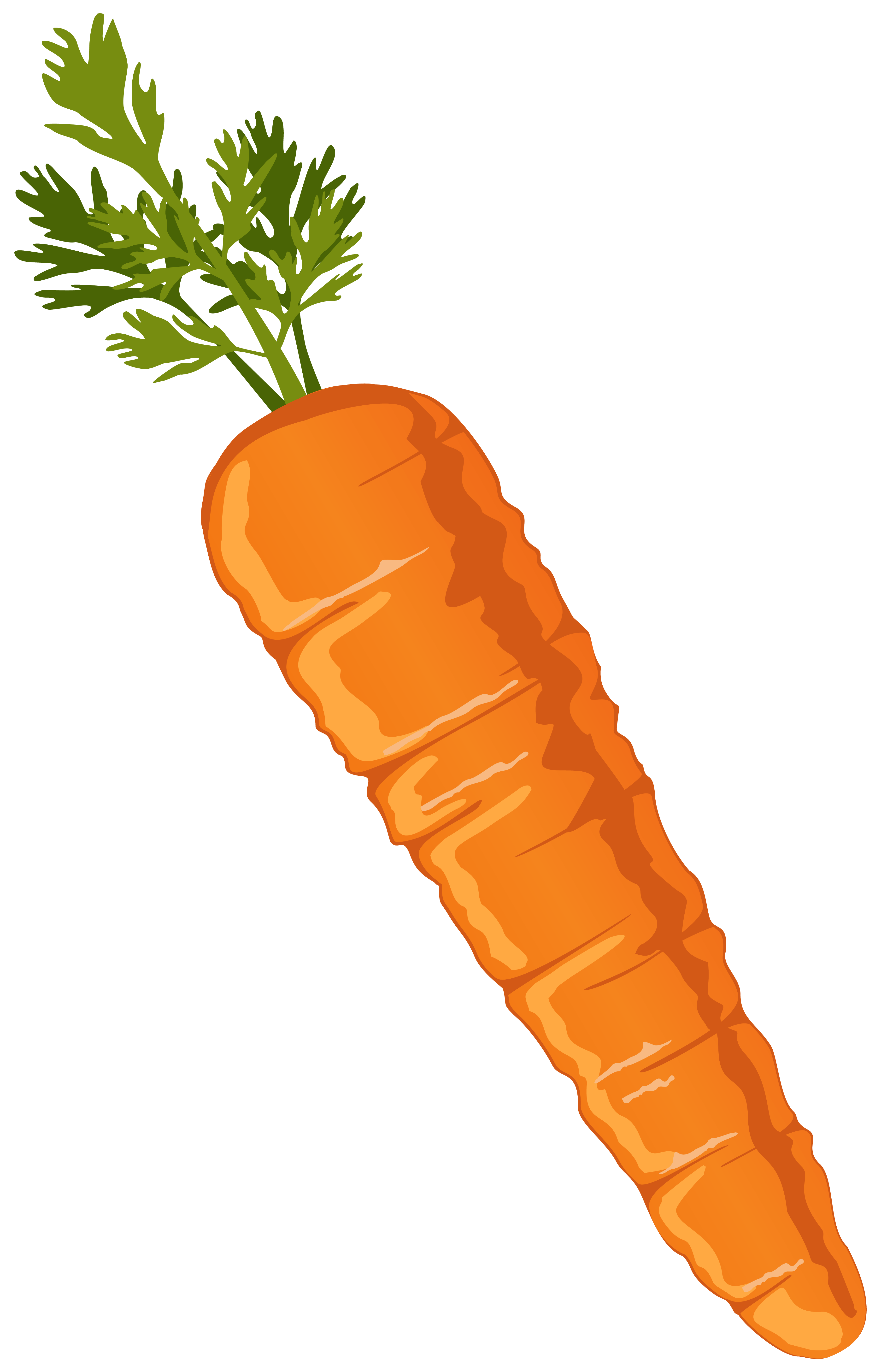 Carrot clipart image gallery yopriceville high quality png