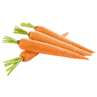 Download carrot free photo images and clipart freeimg png