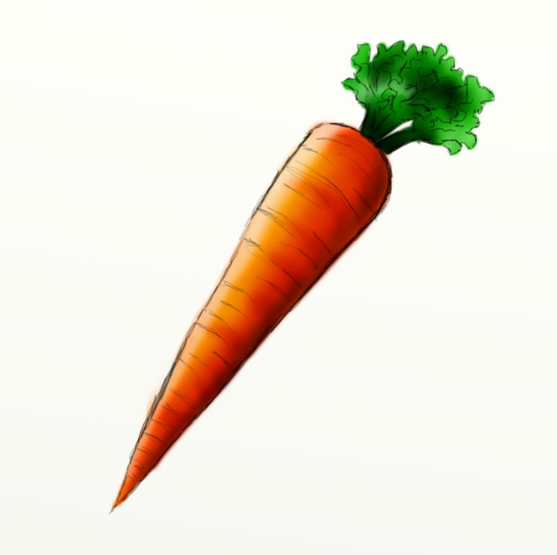 Free carrot clipart images download 8 jpg