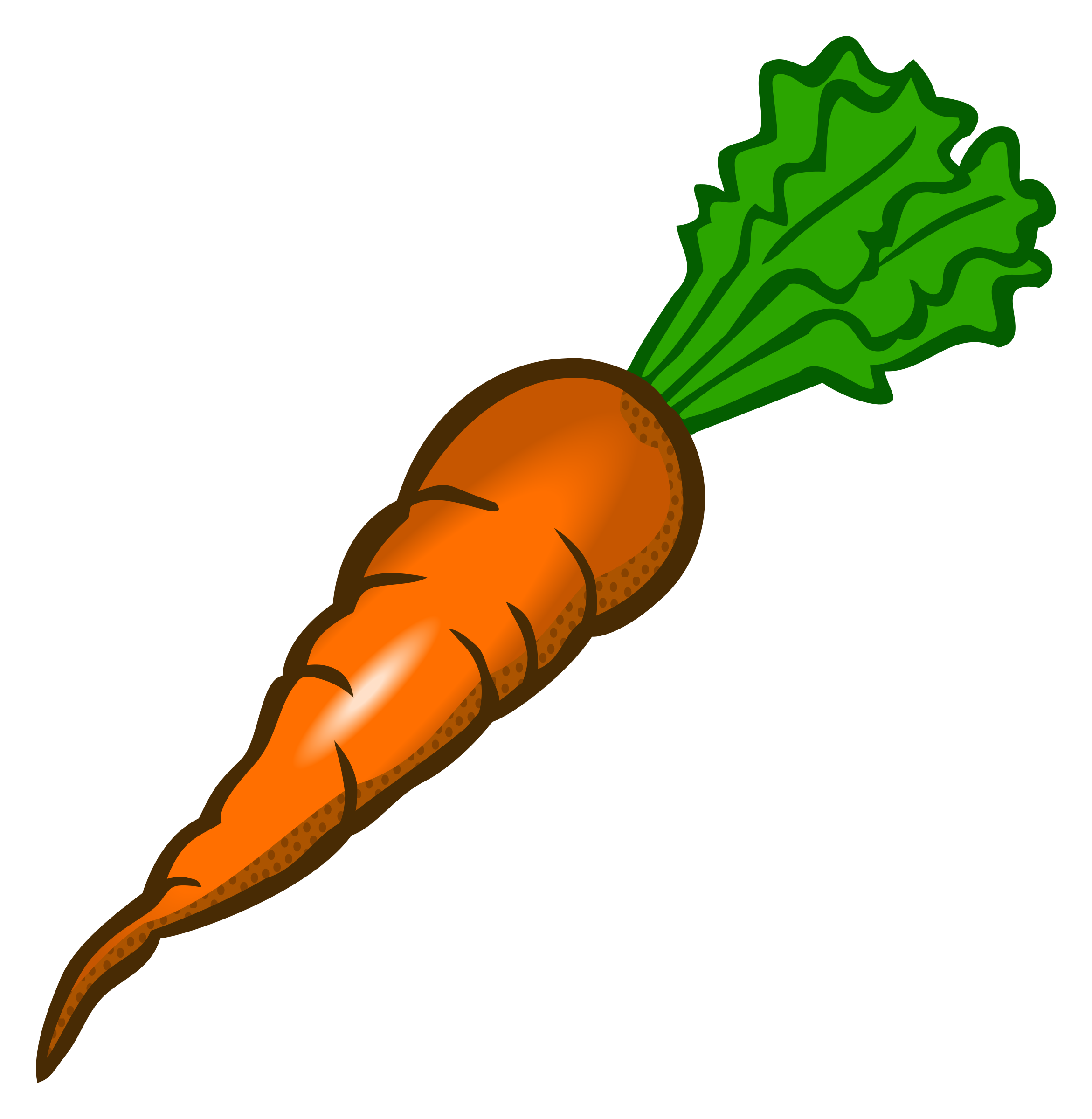 Carrot outline png