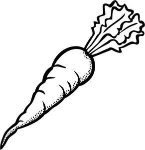 Black carrot clipart png