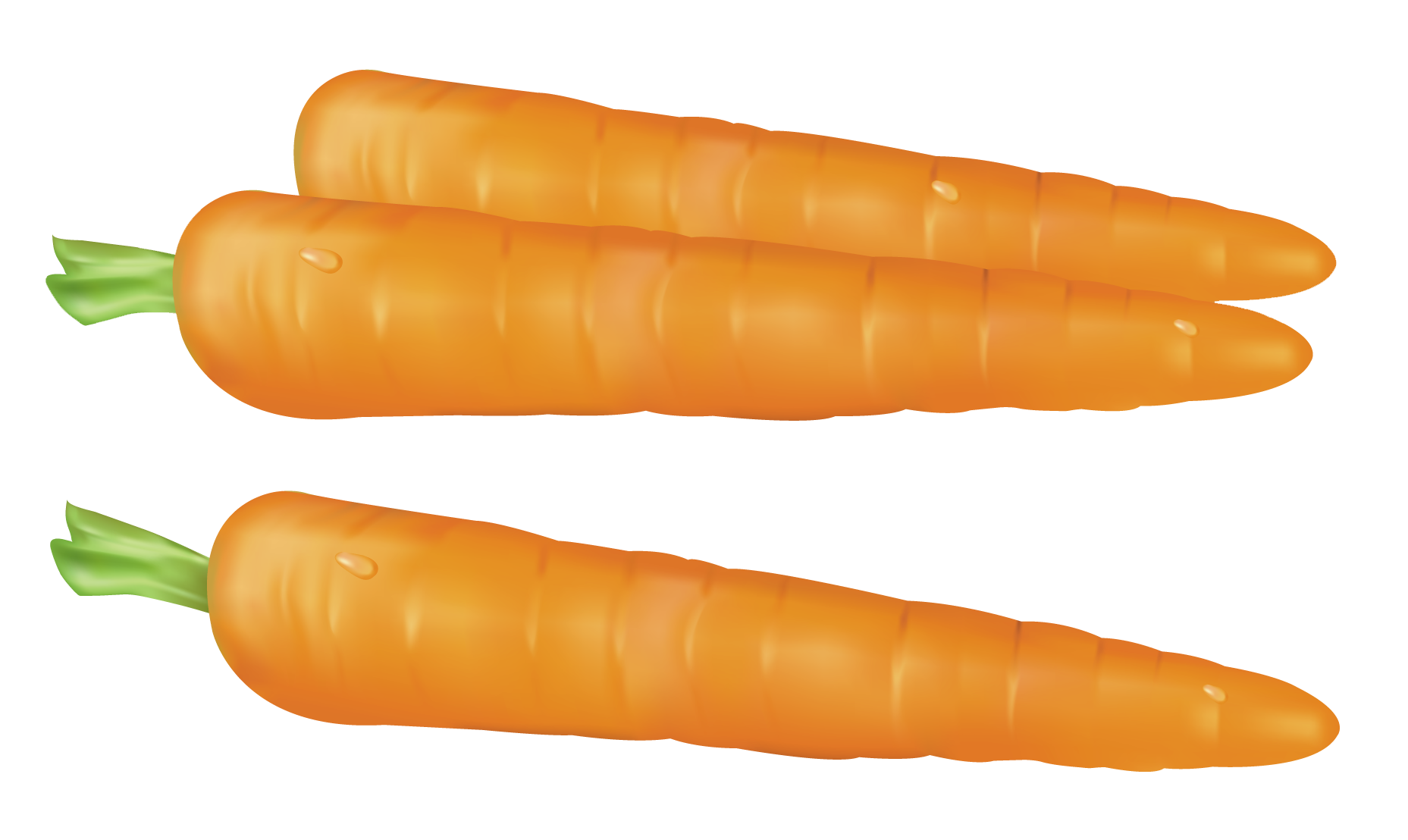 Carrot background cliparts free download clip art png