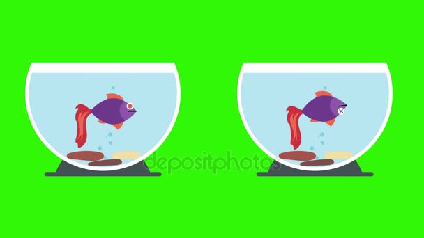 cartoon dead fish Cartoon fish tanks with dead and live stock video jpg