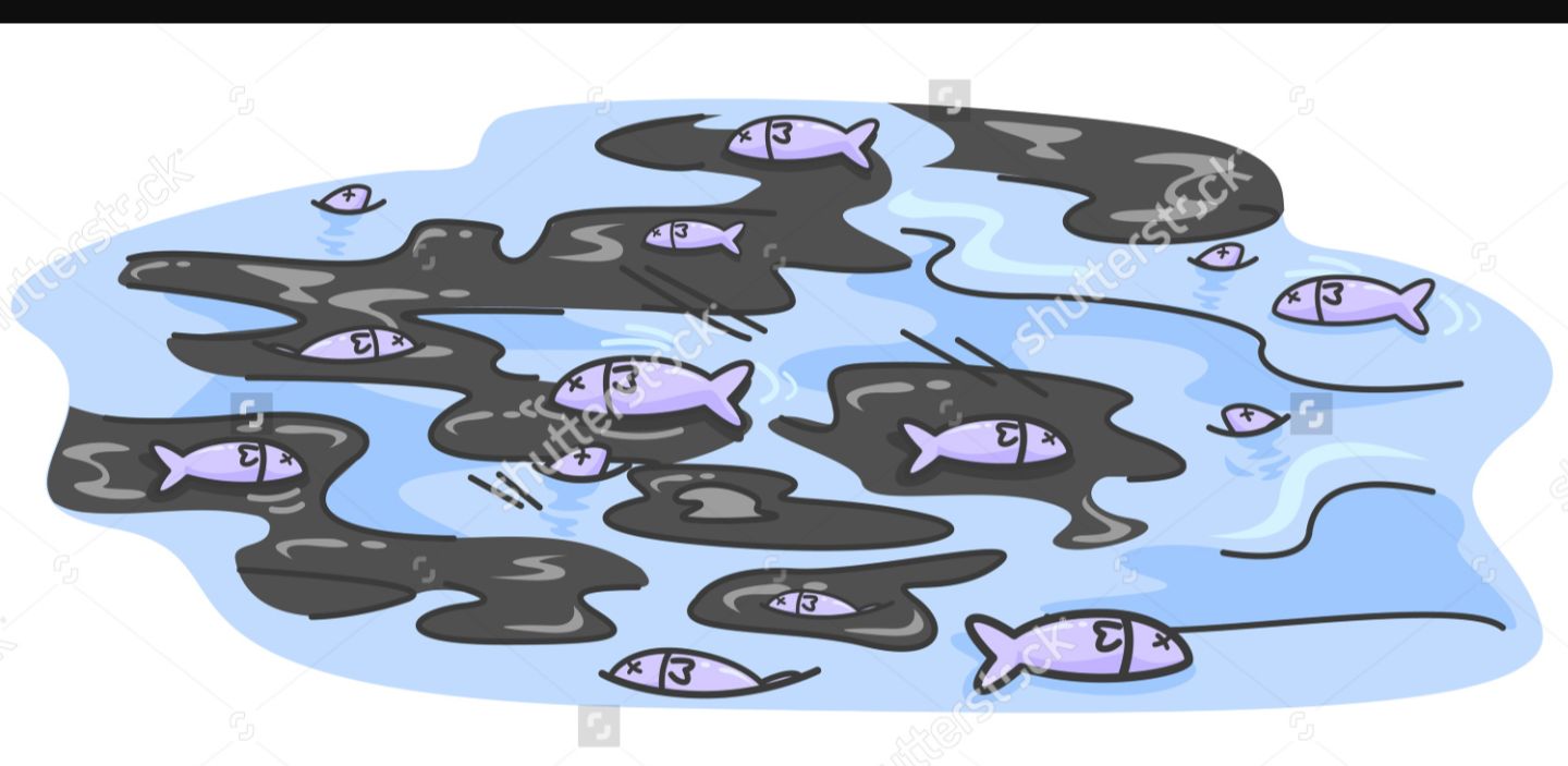 Cartoon dead fish blank template imgflip jpg