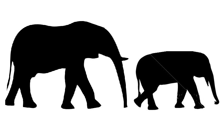 elephant outline Indian elephant drawing outline free clipart images jpg