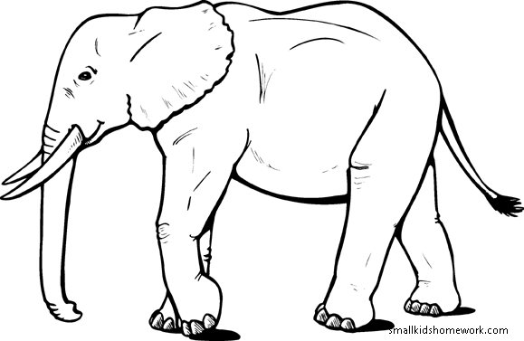 Elephant outline picture gif