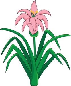 Easter lily clipart image clip art a pink jpg