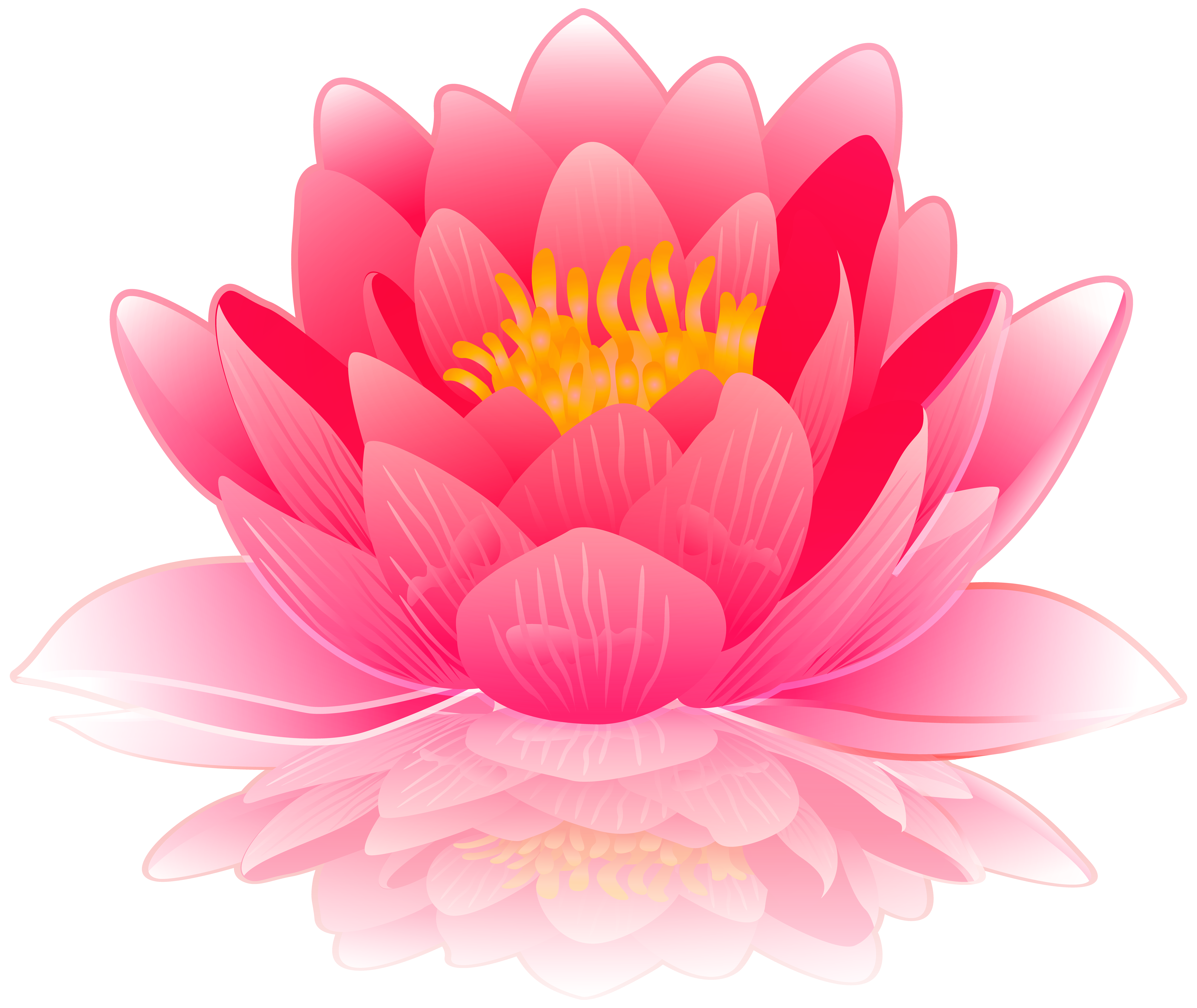 Pink water lily clip art image gallery yopriceville high png