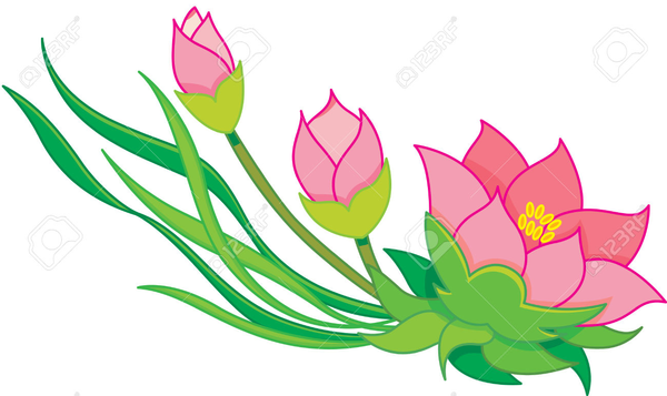 Free stargazer lily clipart images at vector png