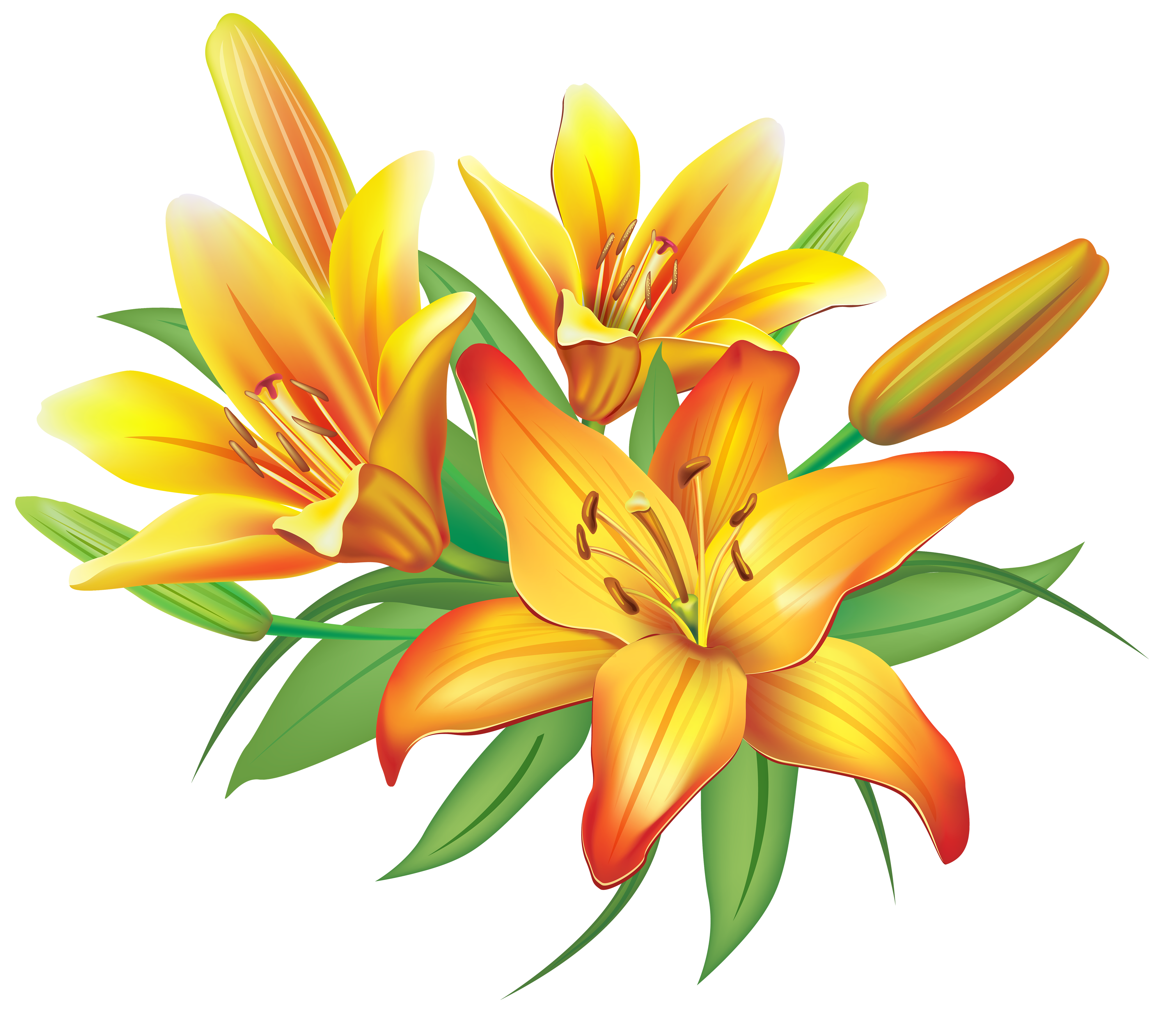 lily Yellow lilies flowers decoration clipart image flowers png