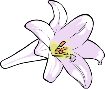 Lily clipart for your project clipartmonk free clip art images png