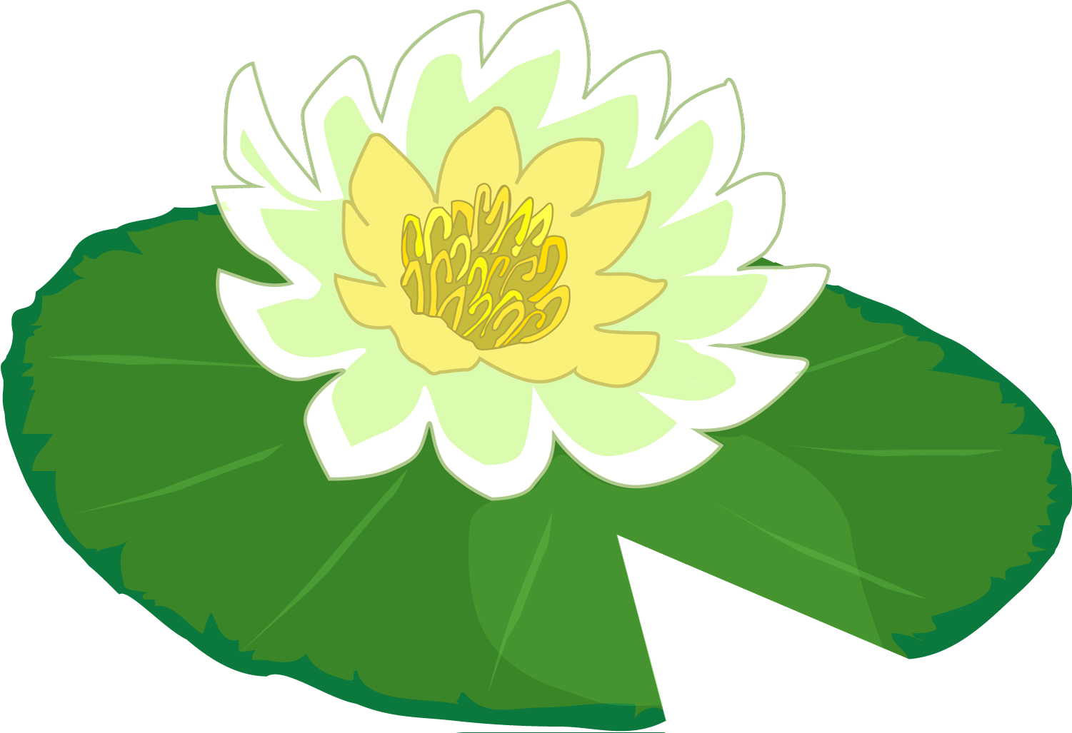 White flower water lily clipart the cliparts png