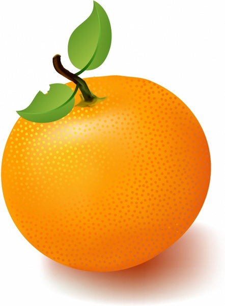 Orange clipart fruit free vector download 1 jpg