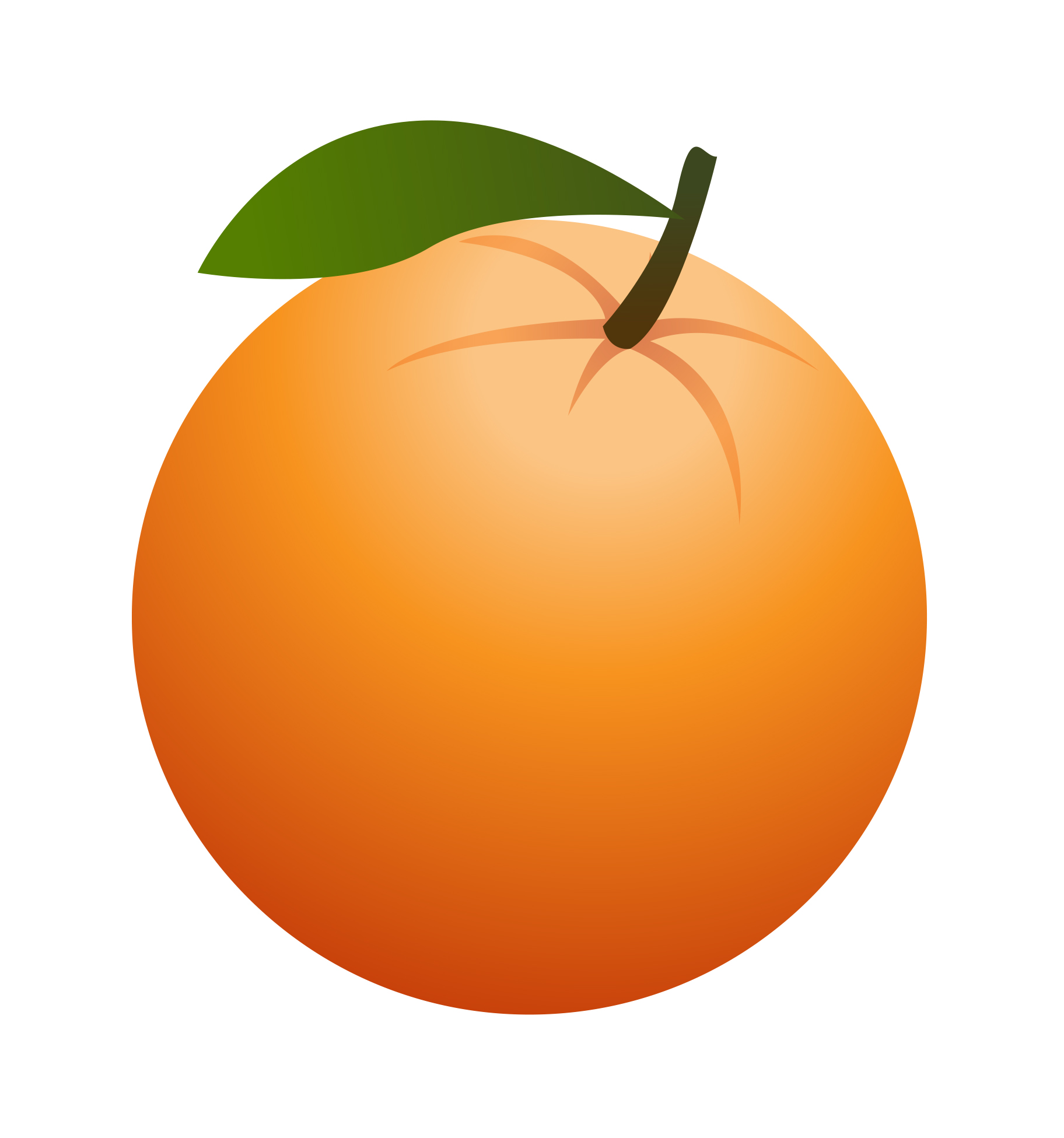 Orange fruit free clipart jpg - Clipartix