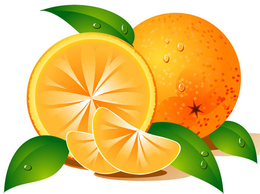 Free orange clipart fruit clip art jpg