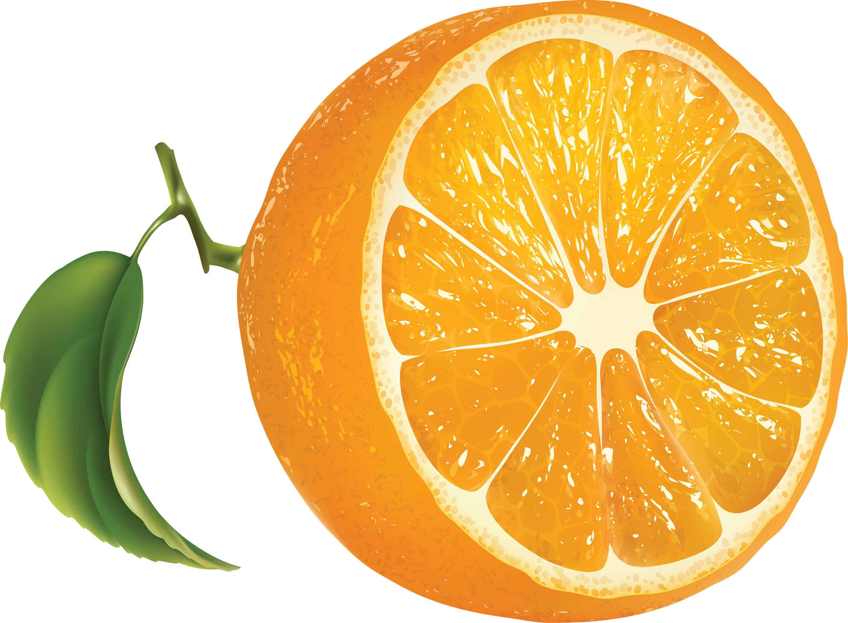 Free Orange Clipart Pictures Clipartix