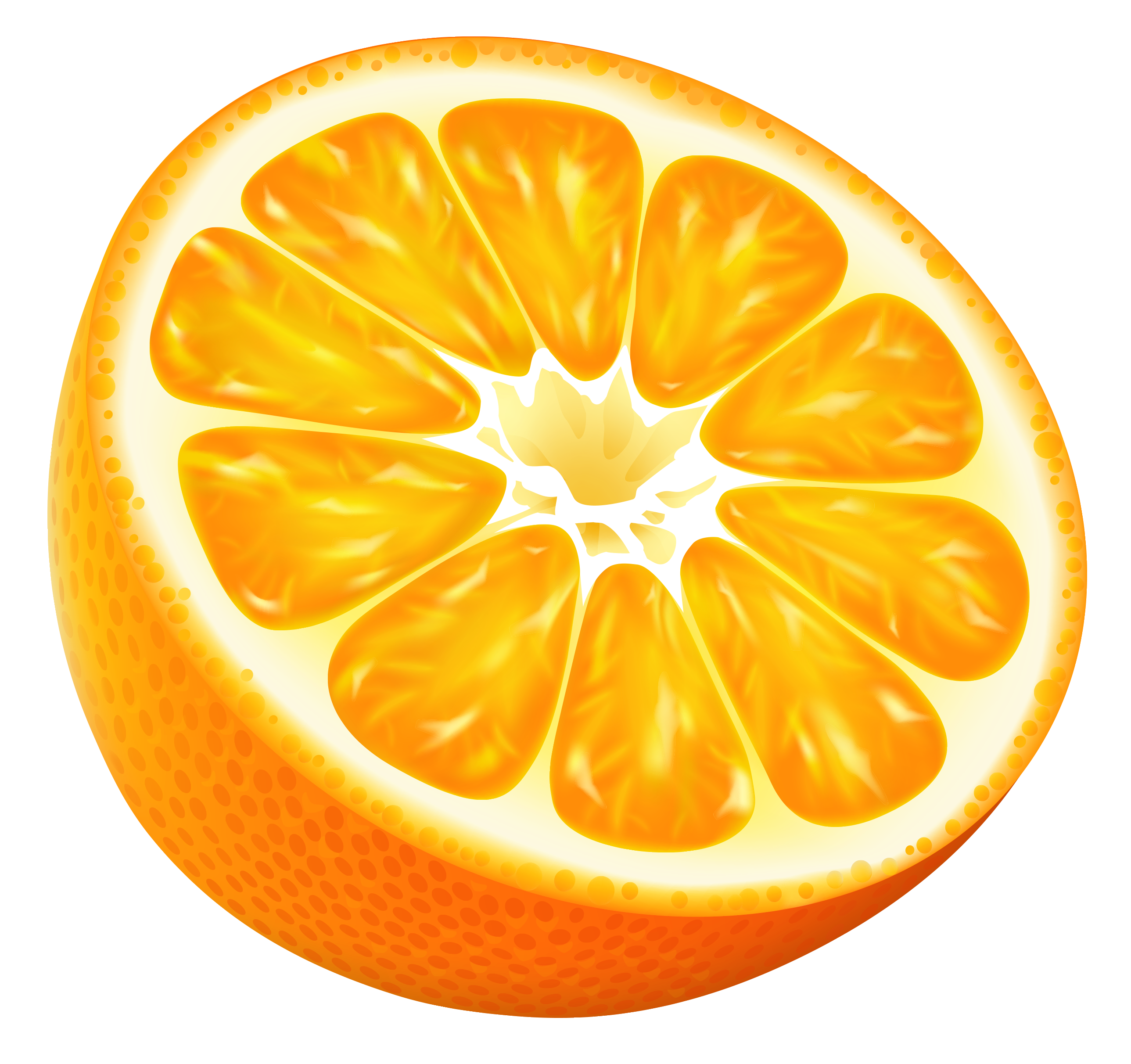 Half orange vector clipart image gallery yopriceville png