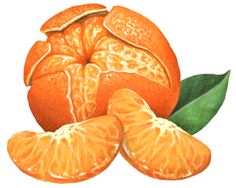 One whole orange with an leaf and flowering out of the jpg