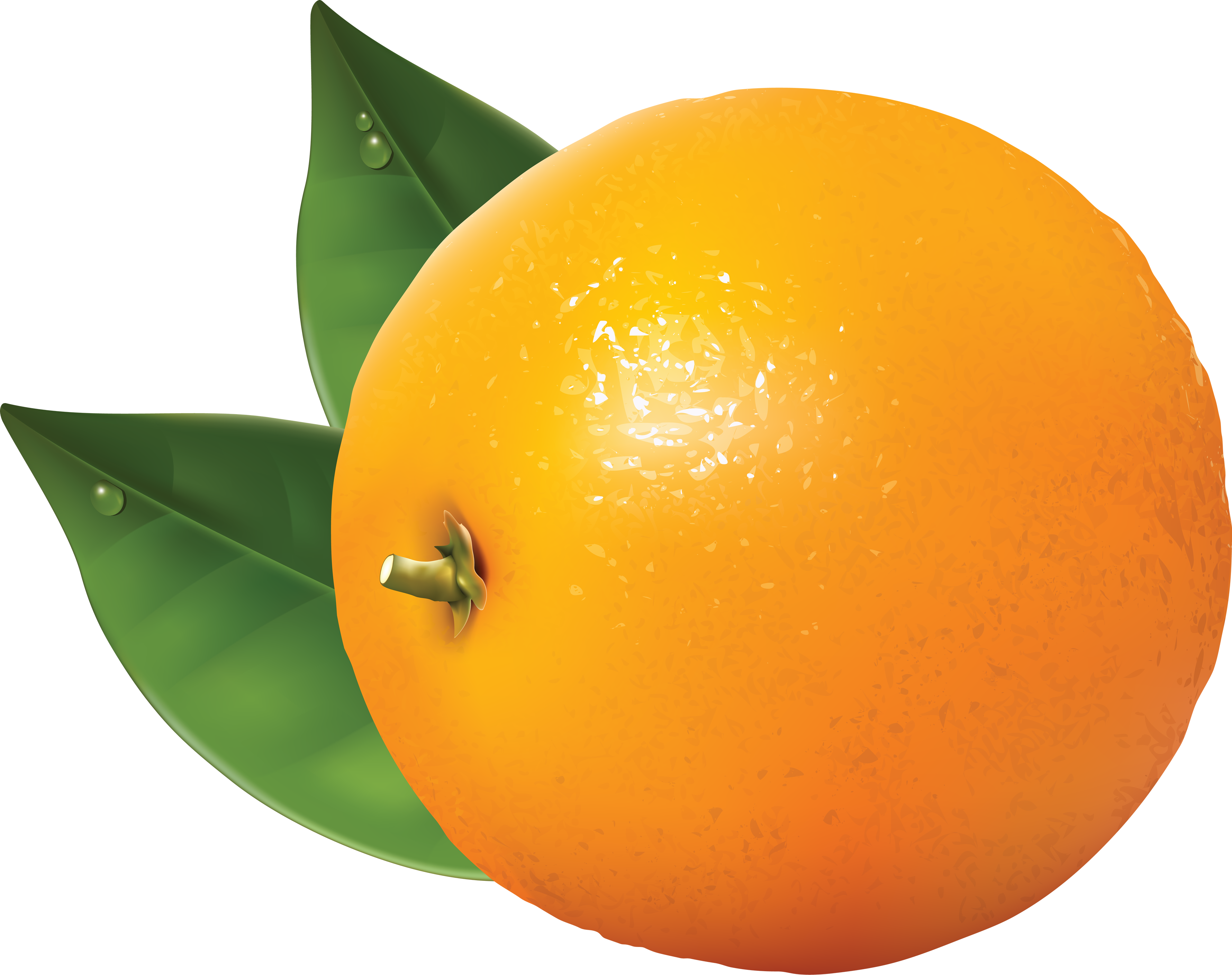 Orange clipart the cliparts png
