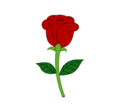 rose cartoon Drawing how to draw a flowers bouquet together with png ...