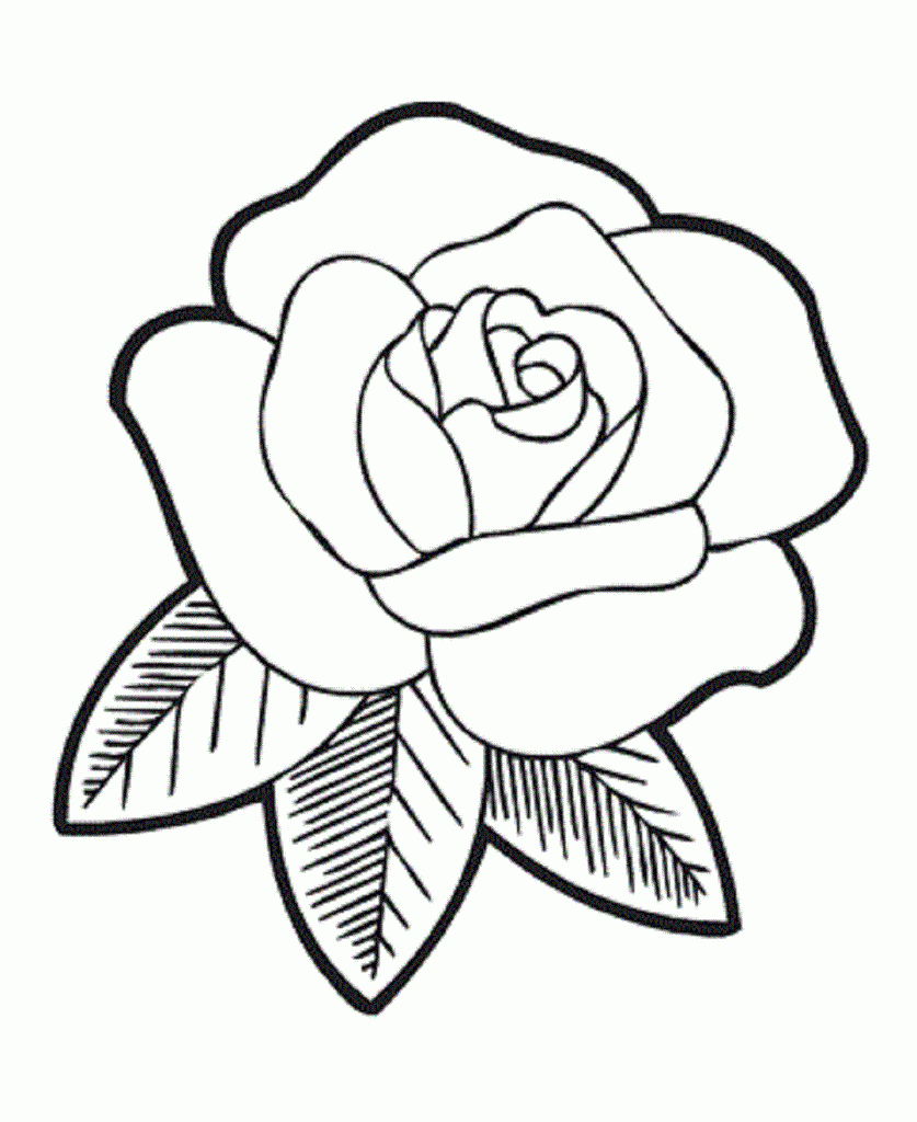rose cartoon Cartoon rose drawing roses draw how to an easy gif