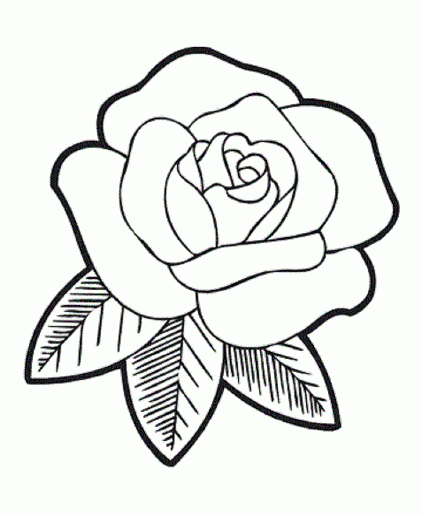 Rose Drawing - How To Draw A Rose Step By Step