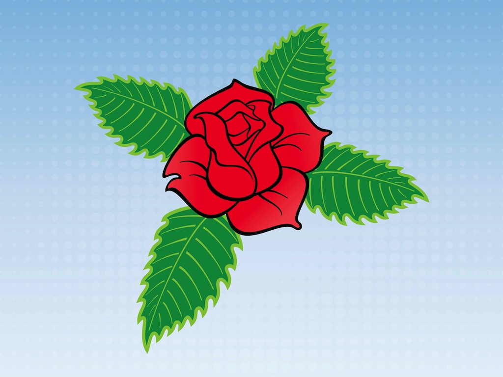 rose cartoon Romantic rose vector jpg