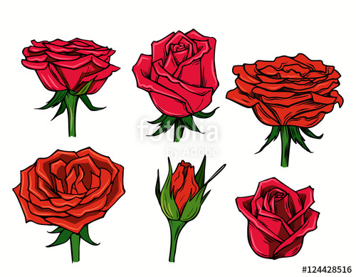Red rose cartoon stock image and free vector files on jpg
