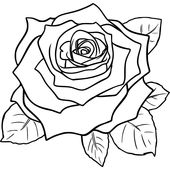 Rose Cartoon Drawing How To Draw A Cute Cartoon Rose Also Derrick Jpg 