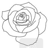 Rose Outline Pictures – Clipartix