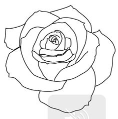 Rose outline tattoo on shoulder tattoos jpg