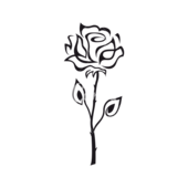 Rose Outline Pictures – Clipartix