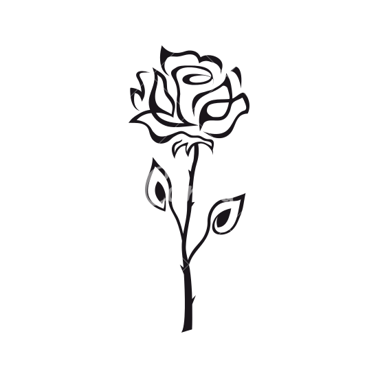 Rose outline icons by canva png