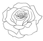 Flower outline tattoos rose outline tattoo stencil line art jpg – Clipartix