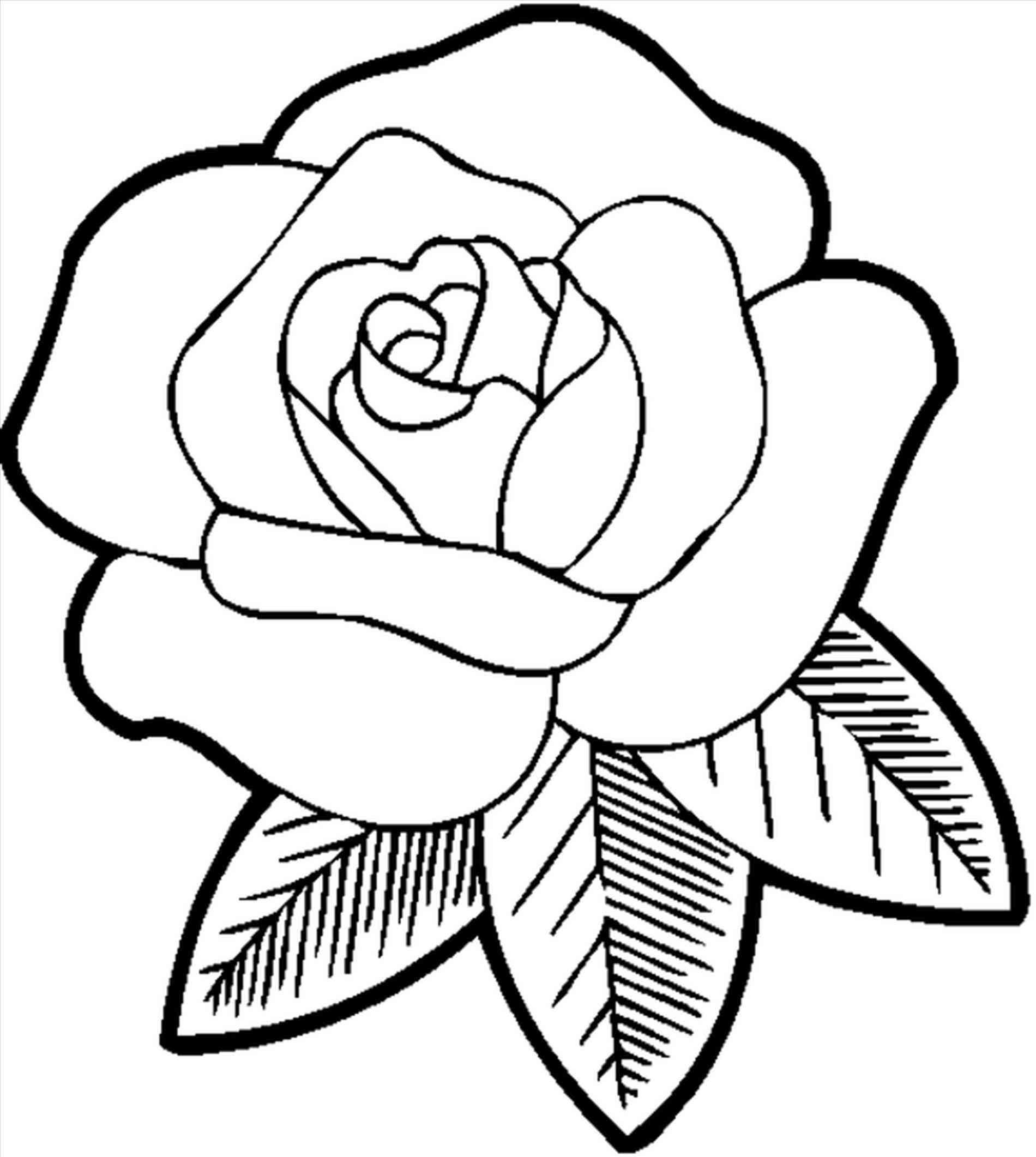 rose outline With rose drawing outline coloring pages jpg