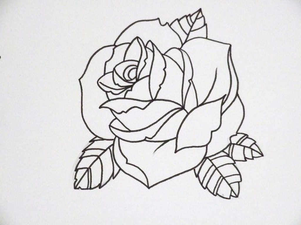 Ideas about rose outline on simple jpg