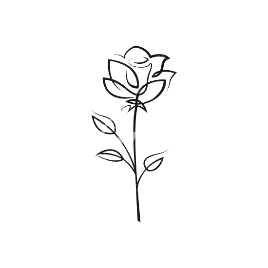 rose outline Rose flower outline icons by canva png