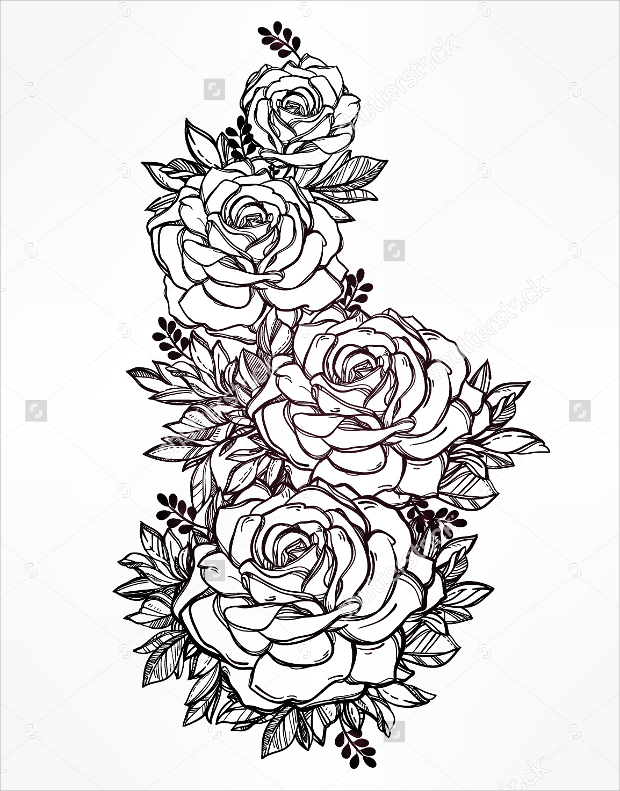 rose outline Rose drawings sketches design trends premium psd vector jpg
