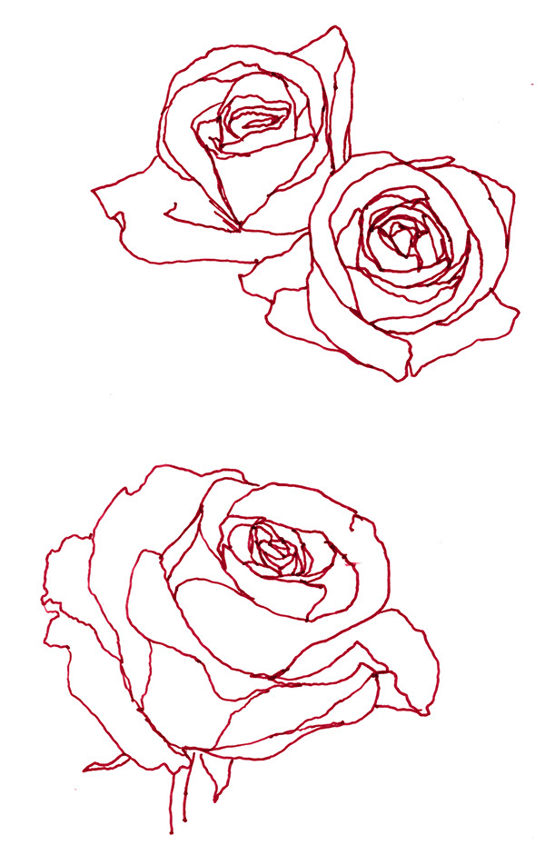rose outline Rose red outline on behance jpg
