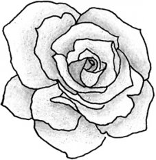 Rose outline r5d regal craft jpg
