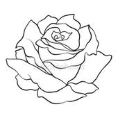 Rose Outline Pictures – Clipartix