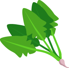 Spinach pictures clip art gif