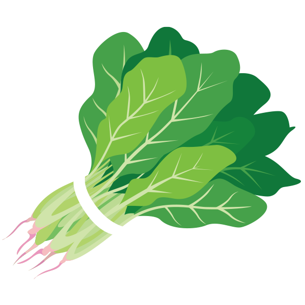 Spinach clipart clipartxtras png