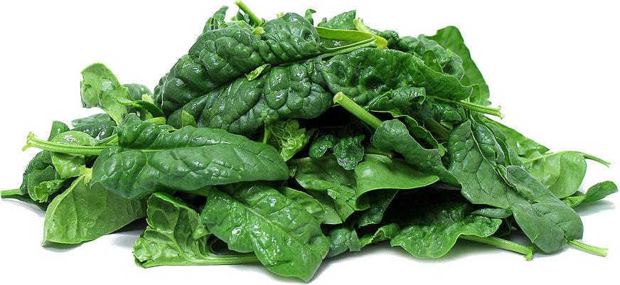 Spinach clipart mart png