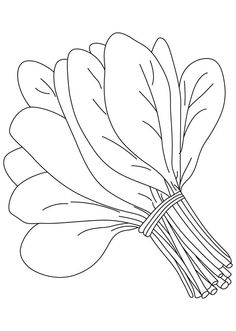 Spinach clipart black and white 3 clipart station jpg