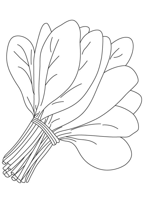 Vegetables black and white spinach clipart free download ...