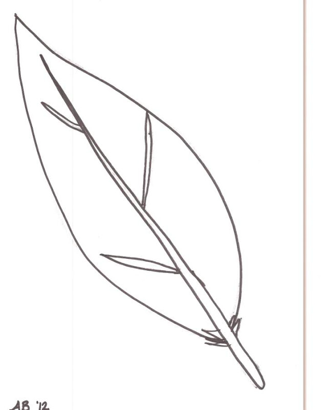Injusto Arte bañera turkey feather Feather outline cliparts free download clip art jpg -  Clipartix