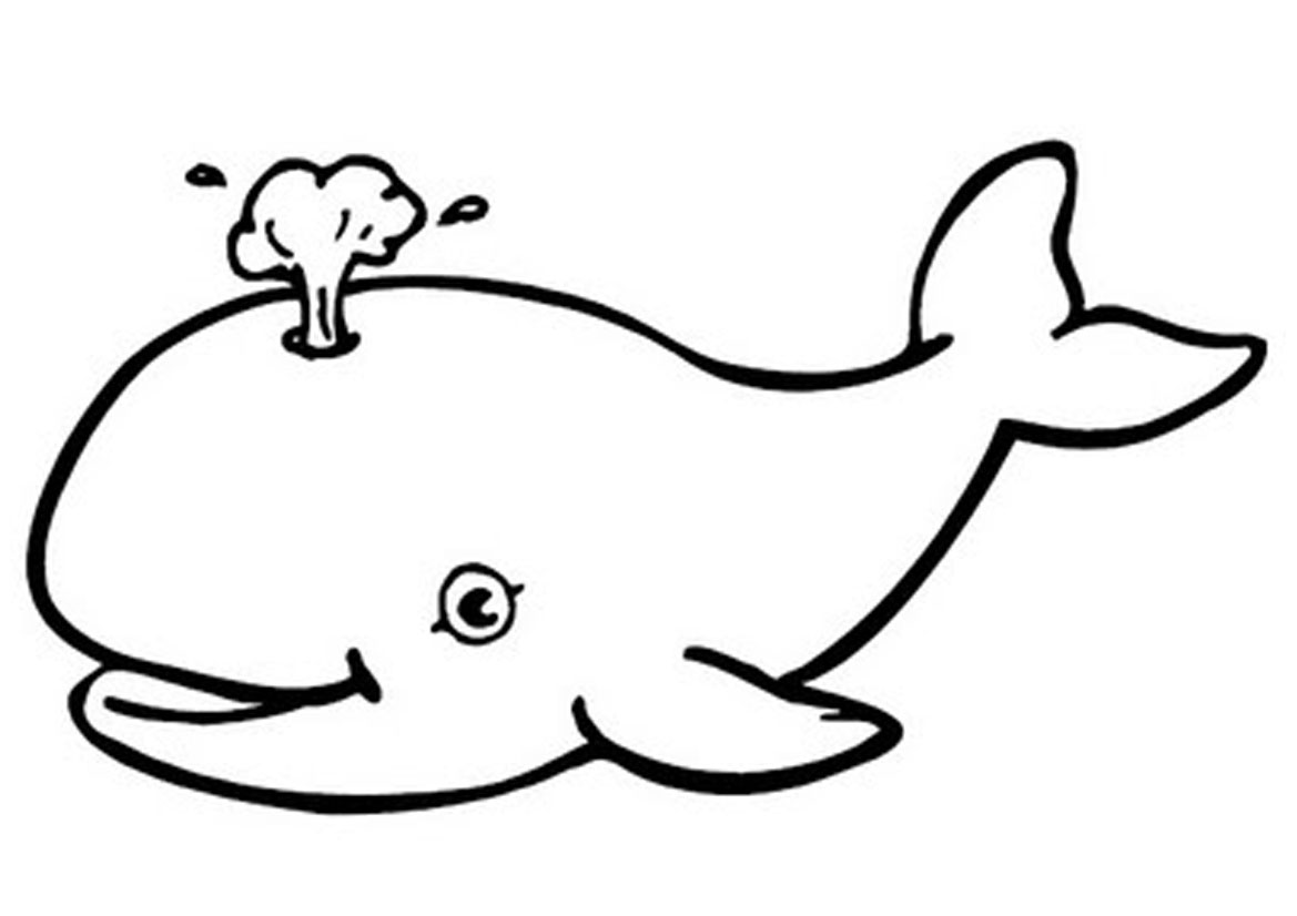 Whale outline cliparts free download clip art jpg 2